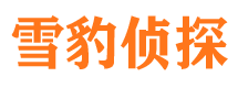 平武市私人调查